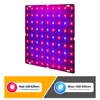 Pěstební světlo LED, červené/modré, plné spektrum, 81 LED, Náhled obrázku produktu 4