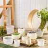 A collection of cheese molds and freshly made cheeses, some garnished with herbs and seeds, arranged on a wooden surface with a wooden sieve and a wooden rack in the background. Produktbild-Vorschau