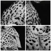 Bild auf Leinwand - Leinwandbild - Einteilig - Leopard Produktbild-Vorschau 8
