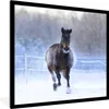 MuchoWow® MuchoWow® Gerahmtes Poster Pferd - Schnee - Produktbild-Vorschau 1