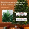 Sapin de Noël Artificiel 180 cm Facile à Installer - Aspect Voir les images du produit 3