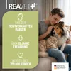 REAVET Flohspray für Katzen & Hunde 500ml - Sofortschutz Produktbild-Vorschau 5