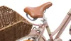 Close-up view of a bicycle's rear basket and seat. Podgląd zdjęcia produktu