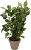 Mica Decorations Ficus Natasja sztuczna roślina w doniczce Podgląd zdjęcia produktu 5