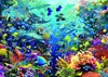 Unterwasserparadies. Puzzle 9000 Teile Produktbild-Vorschau 2