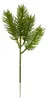 Künstliche Tannenzweige "REAL" 24cm. 24 Tannenzweige mit 4 Produktbild-Vorschau 2