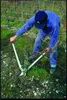 FELCO Astschere Nr. 22 Länge 840 mm Produktbild-Vorschau 4