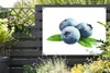 MuchoWow® Produktbild-Vorschau 5