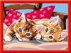 Twee knuffelkatjes Ravensburger 28342 Productafbeelding-voorbeeld 1