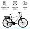 Zündapp Z802 E Bike 28" rower trekkingowy dla osób o Podgląd zdjęcia produktu 11