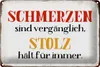 Blechschild Spruch 30x20cm Schmerzen Stolz hält für immer Produktbild-Vorschau 2
