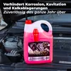 A pink liquid coolant in a plastic jug is placed in the engine bay of a car. Produktbild-Vorschau