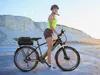 Mountainbike Gepäckträger, MTB Fahrrad Gepäckträger mit Produktbild-Vorschau 6