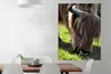 MuchoWow® Poster Schottischer Highlander - Hörner - Sonne Produktbild-Vorschau 2