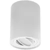 A white cylindrical ceiling light fixture with a rotatable spotlight inside. Náhled obrázku produktu