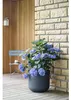 EDA 013724 G.ANT CX EDA Plantenpot VOLCANIA UP, rond, 485 Productafbeelding-voorbeeld 2