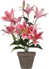Mica Decorations Tigerlilien Kunstpflanze im Blumentopf Produktbild-Vorschau 1