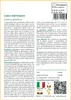 SAFLAX  - Cedro dell'Atlante - 20 semi - Cedrus Anteprima dell’immagine prodotto 3