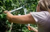 Fiskars SmartFit Teleskop-Astschere L86 Produktbild-Vorschau 25