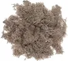 Deko-Islandmoos Naturbraun 30g Produktbild-Vorschau 1