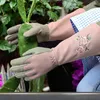 1 pár dámských zahradnických rukavic s ochranou proti Náhled obrázku produktu 5