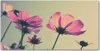 Tulup® Leinwandbild - 140x70 cm - Wandkunst - Drucke auf Produktbild-Vorschau 1