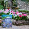 Hortensien-Dünger 1 l - Hochwertig - Nährstoffreich - Für Produktbild-Vorschau 3