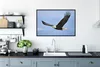 MuchoWow® Gerahmtes Poster Ein fliegender Weißkopfseeadler Produktbild-Vorschau 3