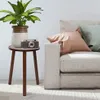 A plant on a small side table next to a sofa with cushions. Náhled obrázku produktu