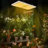 A grow light illuminates a collection of potted plants in what appears to be a greenhouse or indoor garden setting. A neon sign that says 'Summer' is visible in the background. Náhľad obrázku produktu