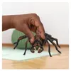 schleich Harry Potter Aragog - 13987, 6 Jahr(e), Magical Produktbild-Vorschau 5