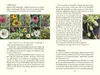 Bin im Garten Produktbild-Vorschau 4