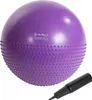 Masážní gymnastický míč HMS YB03N 55 cm fialový Náhled obrázku produktu 1