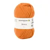 Schachenmayr Bravo, filati per maglieria a mano color ambra Anteprima dell’immagine prodotto 1