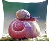 MuchoWow® Zierkissen Sofakissen Wohnzimmer Dekokissen 45x45 Produktbild-Vorschau 1