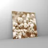 Bilder auf glas - Einteilig - Baumwolle Boho Wollig - Produktbild-Vorschau 4
