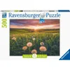 Pusteblumen im Sonnenuntergang Ravensburger 16990 Produktbild-Vorschau 1