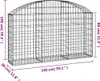 vidaXL Gabion s vysokým obloukem 150x30x80/100 cm Náhled obrázku produktu 5