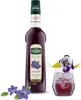 Teisseire Veilchen Sirup Vol. 1L Produktbild-Vorschau 4