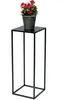 A black metal plant stand with a potted plant on top. Náhled obrázku produktu