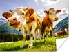 MuchoWow® Poster Kühe - Berge - Gras - Landschaft - Alpen Produktbild-Vorschau 1