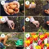 Winterharde, meerjarige tulpbollen - Bloemmix voor het Productafbeelding-voorbeeld 4