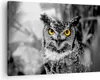 Bild auf Leinwand - Leinwandbild - Eule Vogel Natur - Produktbild-Vorschau 1