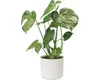 elho b.for Soft Rund 35cm Übertopf - weiss Produktbild-Vorschau 15