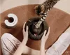 1 Stück Magic Organ Katzen Kratzbrett – Faltbares 3-in-1 Produktbild-Vorschau 2