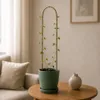 KADAX Bambusstäbe in U-Form, 75cm x 10/12mm x 15cm, 10er Produktbild-Vorschau 3