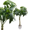 Glückskastanie 60 cm künstlich wie echt Kunstbaum Produktbild-Vorschau 1
