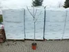 A young fig tree in a pot stands in front of large stacks of wrapped pallets. Podgląd zdjęcia produktu