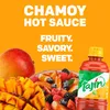 TAJIN Scharf-fruchtige Chamoysauce 455ml – Fruchtig und Produktbild-Vorschau 8