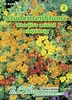 Artikelbild 1 von 'Studentenblume Starfire mixed' aus der Kategorie Studentenblumensamen Produktbild-Vorschau